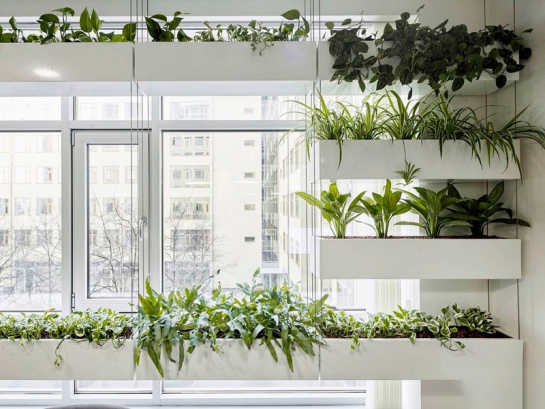 Câỉ tạo đổi mới nội thất công ty không gian xanh