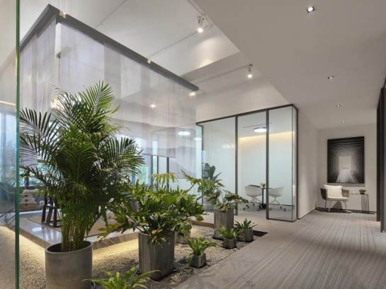 Hoàn thiện nội thất công ty phong cách xanh